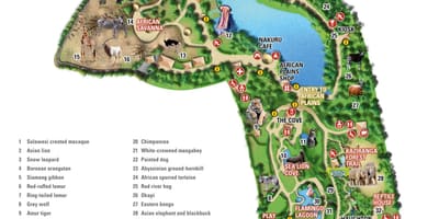 Mapa Dublin zoo